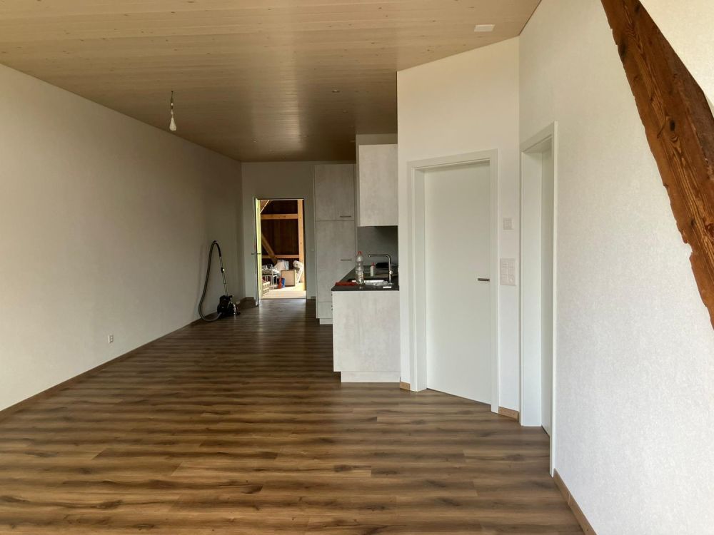Helle 2.5 Zimmer Wohnung in einem Bauernhaus - Bild 1