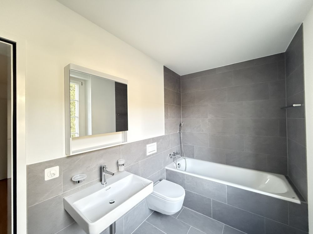 Erstvermietung beim Schloss Zwingen - Für Paare, WG oder allein - Bad/WC