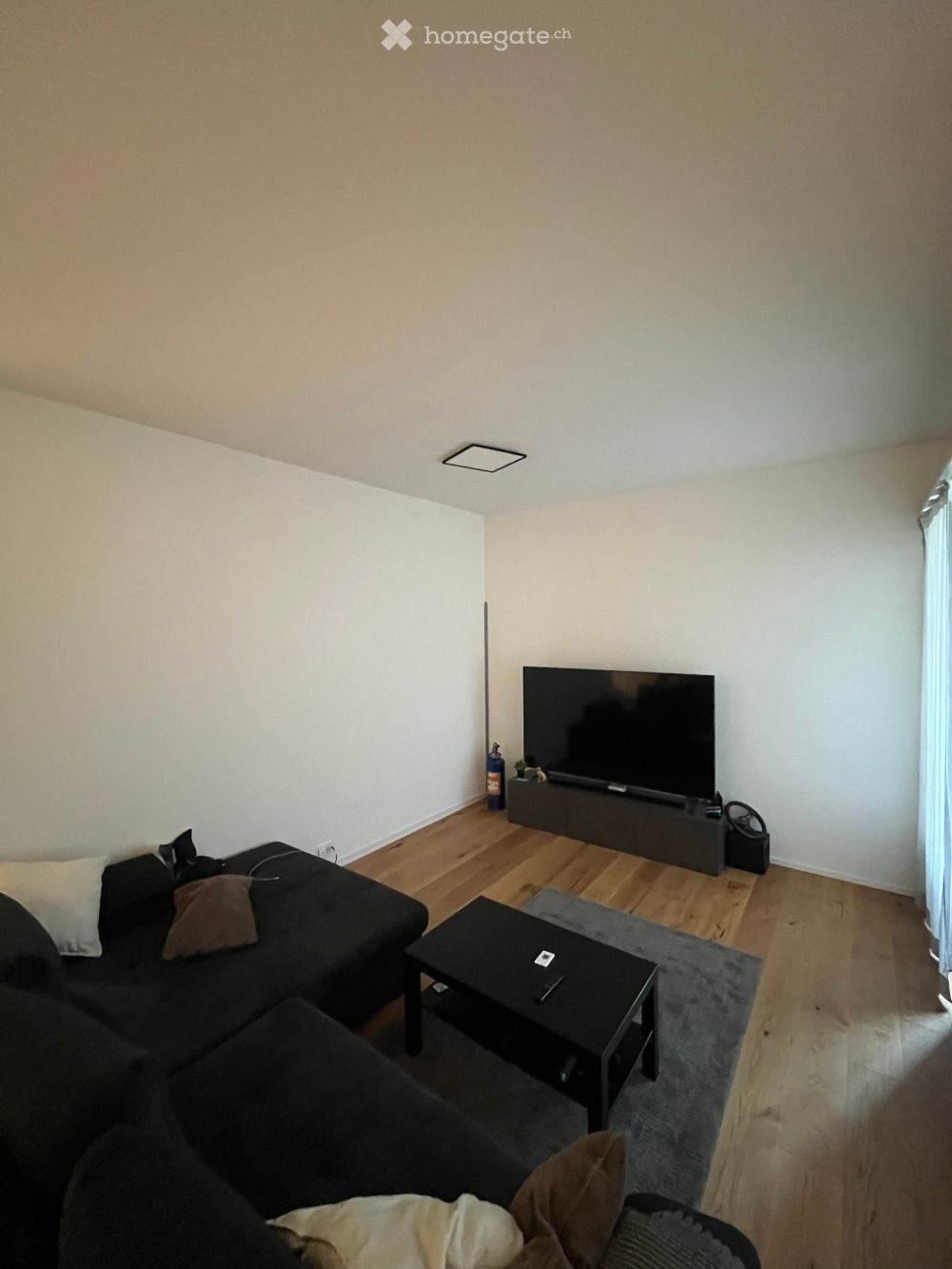 Moderne 2.5-Zimmer-Neubauwohnung im Erdgeschoss in Muri AG - Bild 2