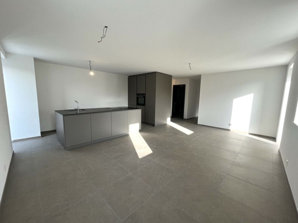 Magnifique 4.5 pièces à Assens - Séjour