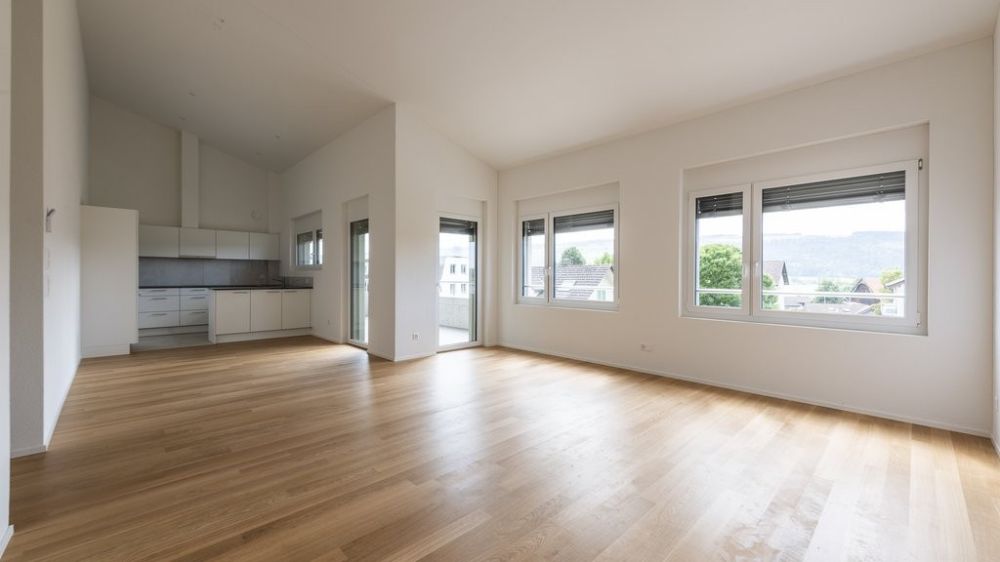 GROSSZÜGIGE UND HELLE NEUBAUWOHNUNG IN HITZKIRCH - Bild 1