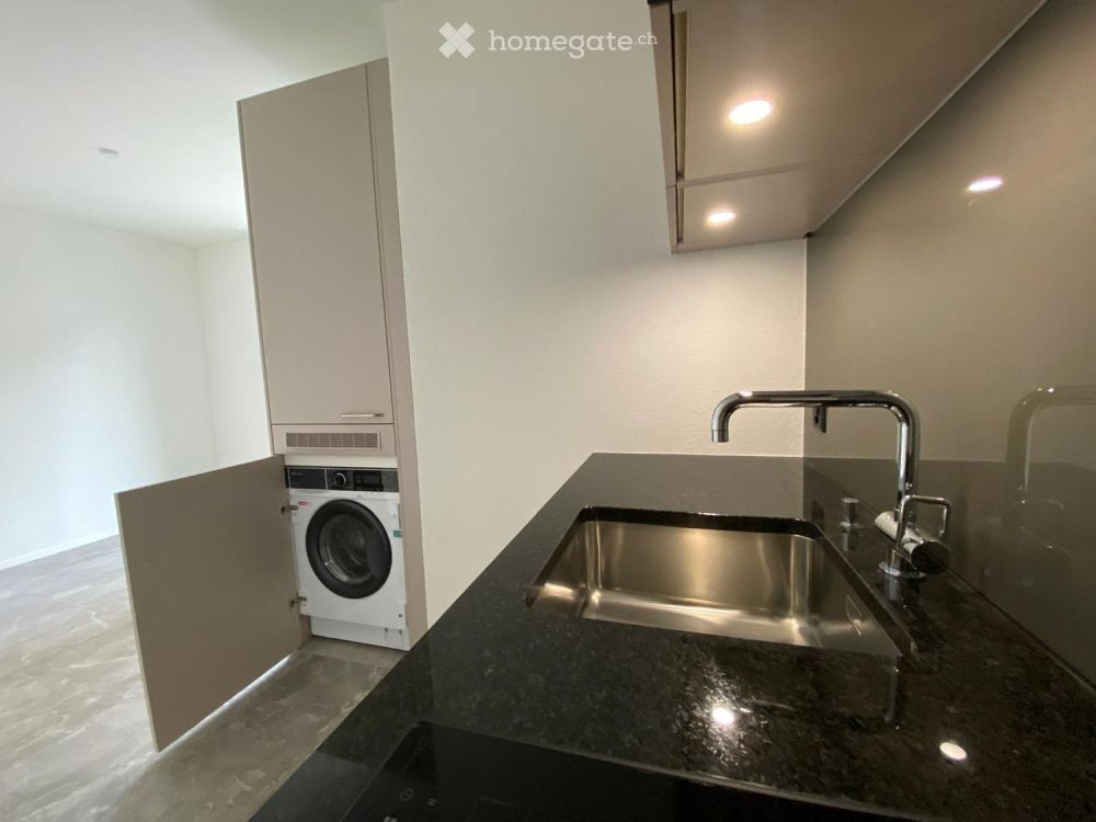 Neu renovierte, sehr gemütliche Dach-Wohnung in Zürich-West - Bild 4