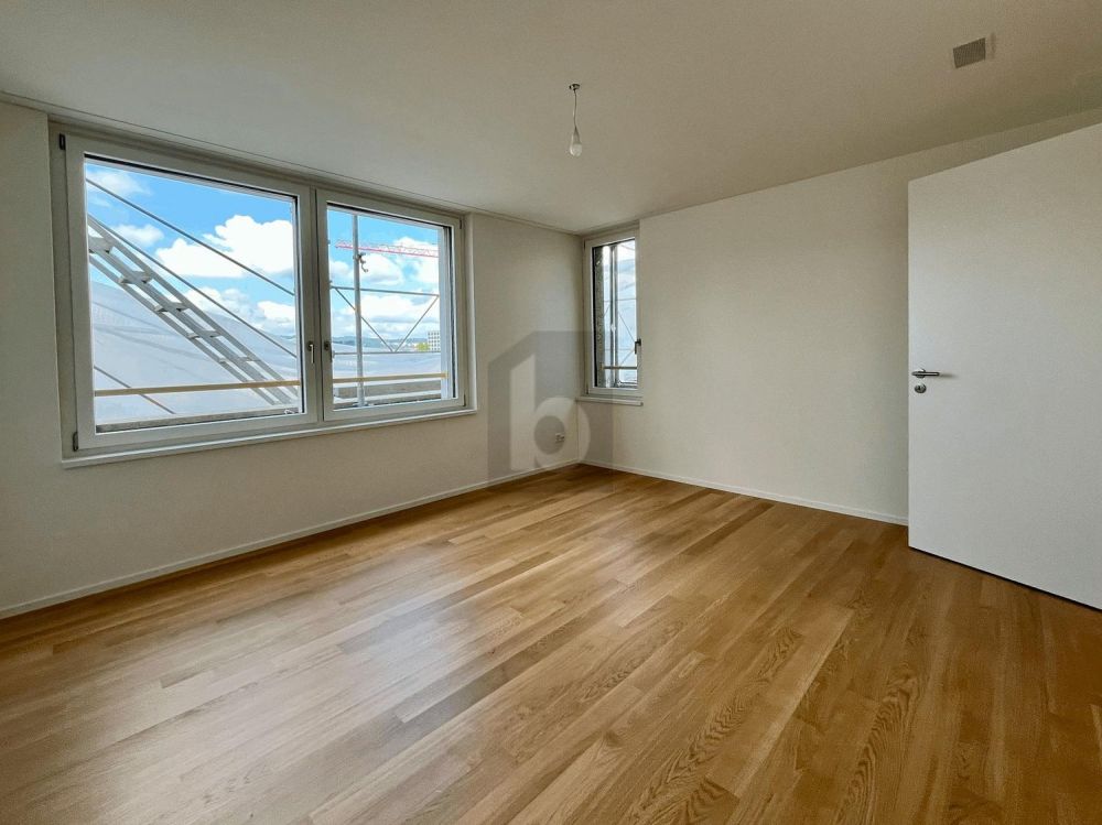 ERSTBEZUG: GROSSER BALKON, SICHT AUF DEN ÜETLIBERG - Bild 4