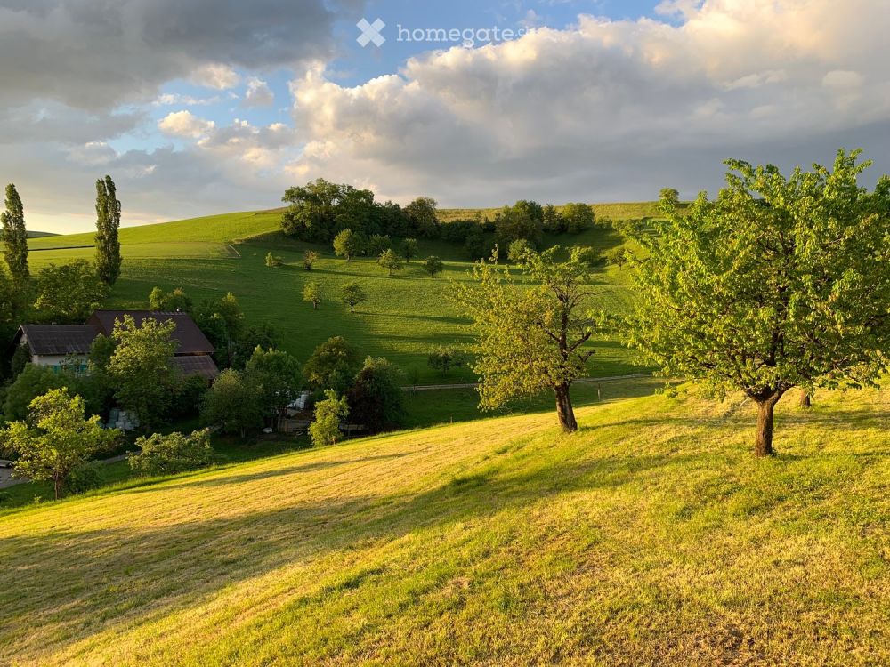 WG Zimmer ländlich, sonnig, ruhig - Bild 4