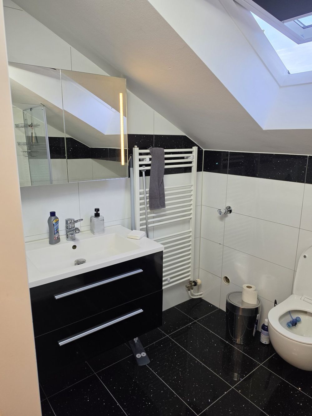 Erstbezug nach Sanierung: Charmante 2.5-Zimmer-Dachwohnung in Dübendorf - Bild 10