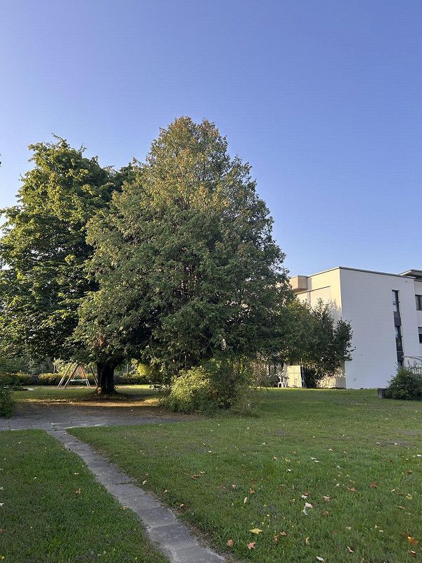 Modernes Wohnen im Grünen: Erstbezug nach Sanierung - Bild 9