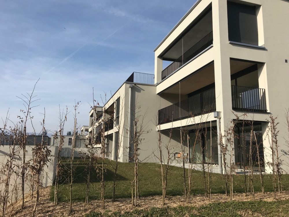 Suchen Sie eine grosszügige und moderne Wohnung? - Bild 1