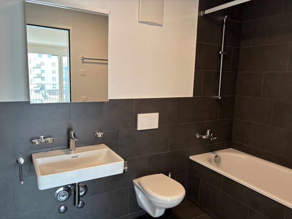 Moderne 3.5-Zimmer-Wohnungen in Egnach mit Seesicht - Bild 5