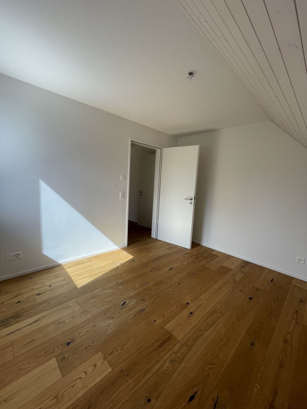 4.5-Zimmer-Maisonettewohnung in Seewen SO zu vermieten - IMG_8410