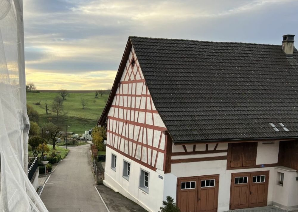 Attraktive 3½-Zimmer-Maisonettewohnung an ruhiger Lage in Buchberg - Bild 1