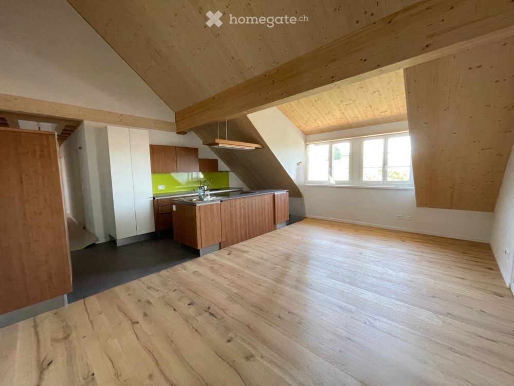 Charmante 3.5-Zimmer-Dachwohnung im Neubau in Siblingen - Bild 1