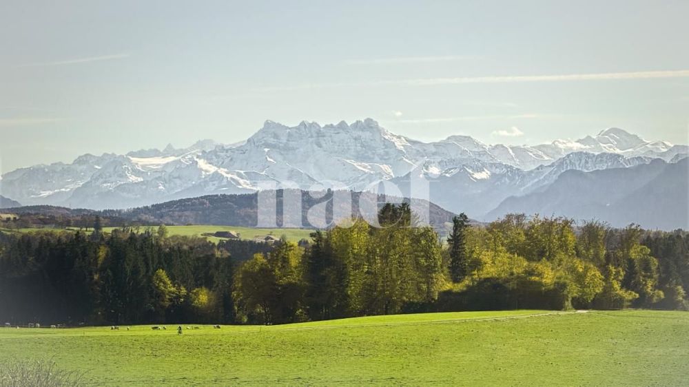 Appartements de 4.5 pièces neufs - Bild 3