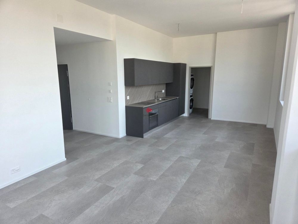 Moderne Loftwohnungen - Erstbezug - Grosse Räume, verschiedene Grundrisse in jeder Wohnung