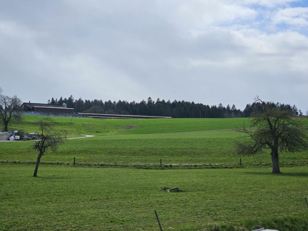 Neubau-Loftwohnung mit Aussicht, Ruhe und Komfort - Bild 10