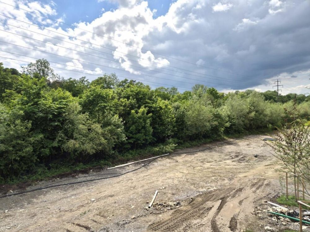 Berges 3 - Appartement 5.5 pièces au 1er étage - Vue balcon séjour