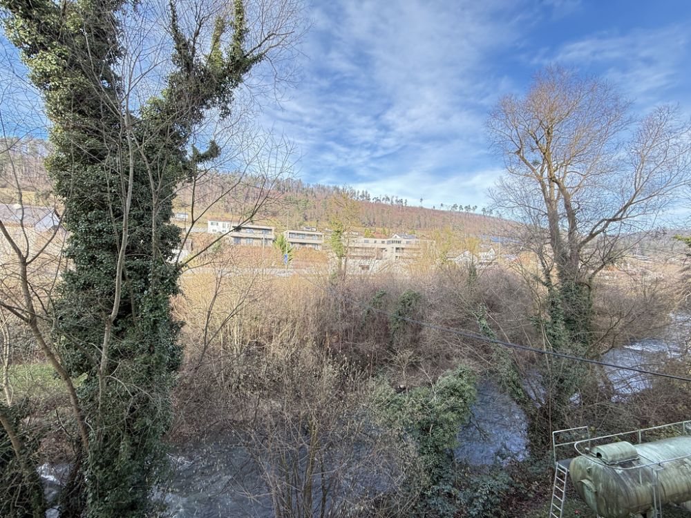 Erstvermietung beim Schloss Zwingen - Für Paare, WG oder allein - Aussicht