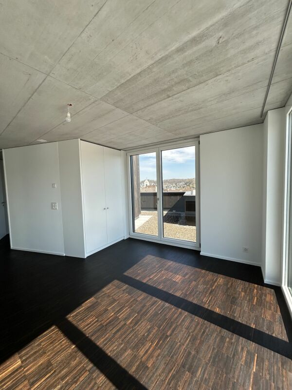 Neubau 3.5-Zimmer-Wohnung mit grosser Dachterrasse - Bild 3