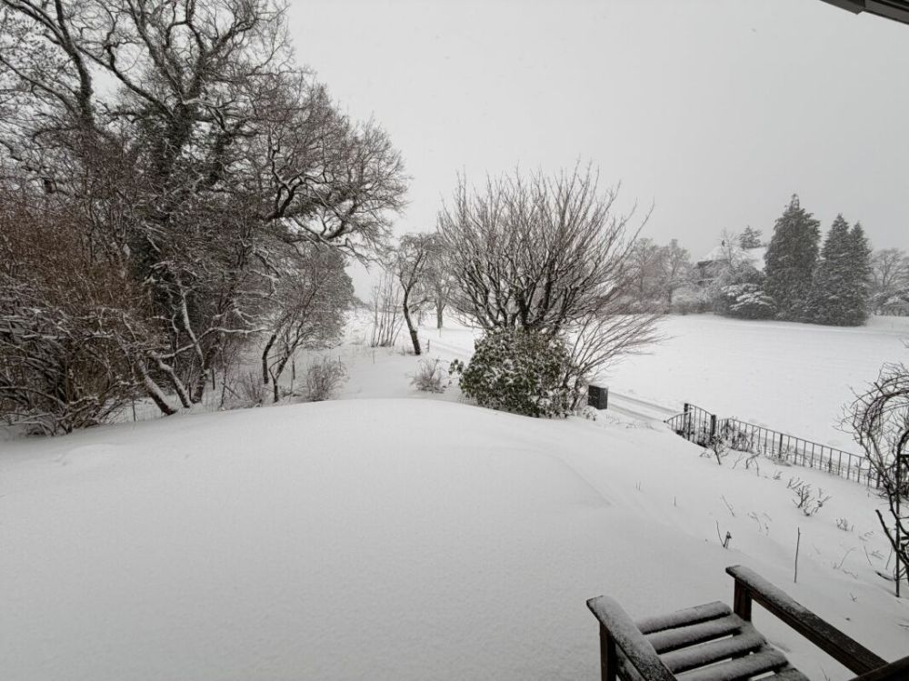 traumhaftes 5.5 Zimmer Einfamilienhaus an ruhiger Lage zu vermieten - Sitzplatz mit Blick in den Garten