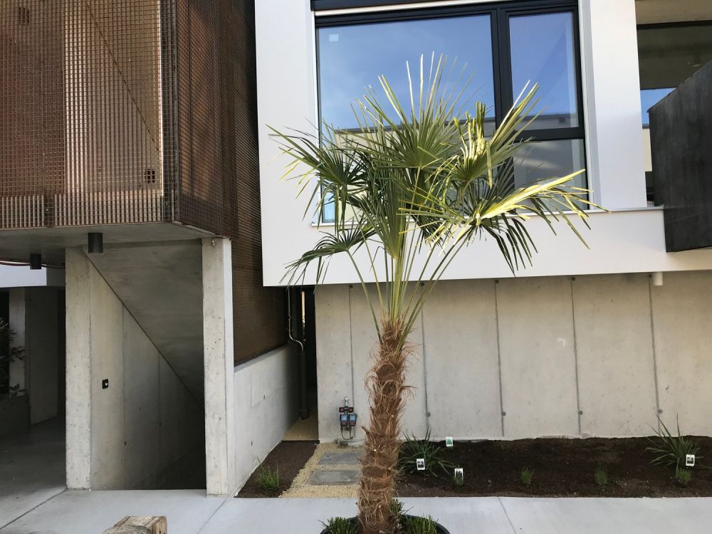 Loft Apartment mit ged. Balkon und Süd-Ausrichtung - Bild 7