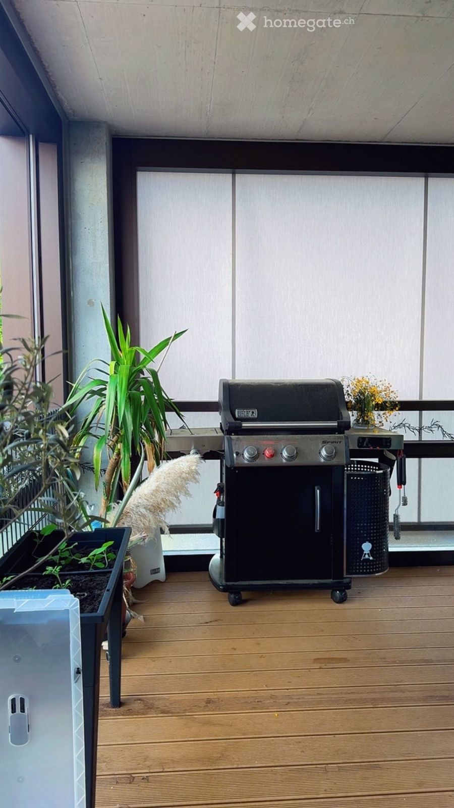 Neubau 2.5 Zimmer Wohnung in Rudolfstetten - Bild 7