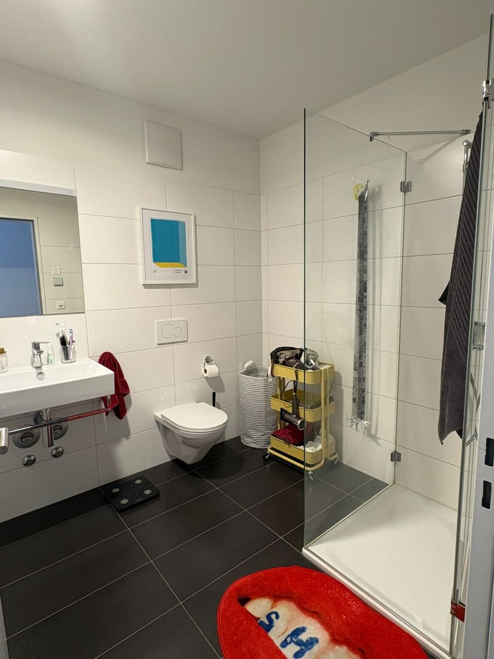 Helle 2.5-Zimmer-Wohnung mit Balkon nahe dem Rhein – Nachmieter gesucht - Bild 9