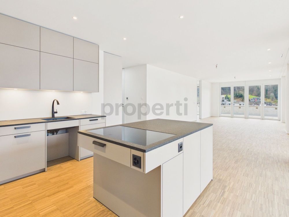 Moderne 4.5-Zimmer-Attikawohnung mit Balkon, Brunnen - Image 4