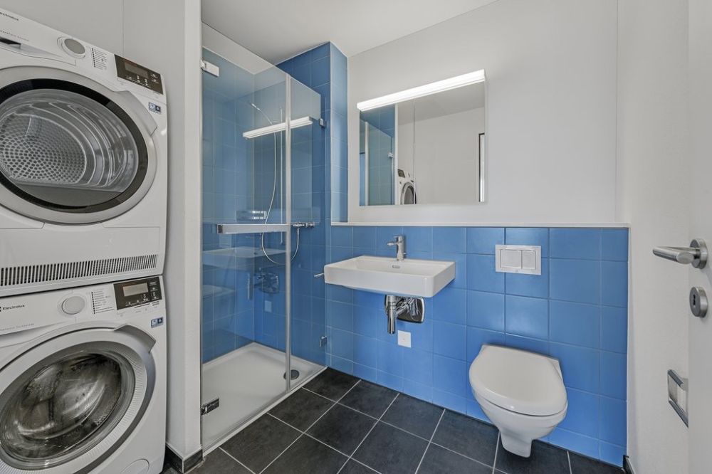 Ihr neues Zuhause in Eglisau! - 2064_02_0202_Dusche_WC_W_LAA.jpg