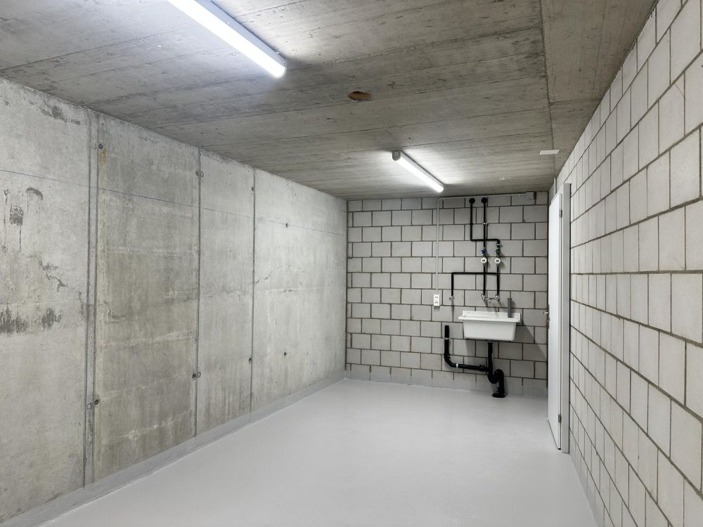 Exklusive Attika-Wohnung mit grosszügiger Terrasse - Bild 13