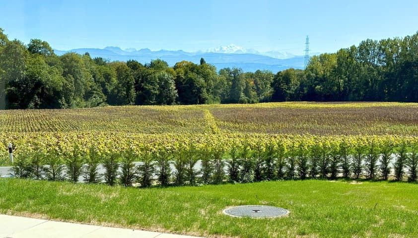A louer - Villa familiale neuve avec terrasse et jardin - Bild 3