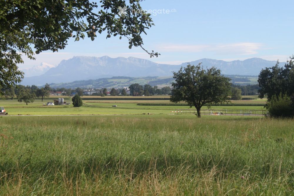 4  1/2       Zimmer-Attika-Wohnung - Bild 6