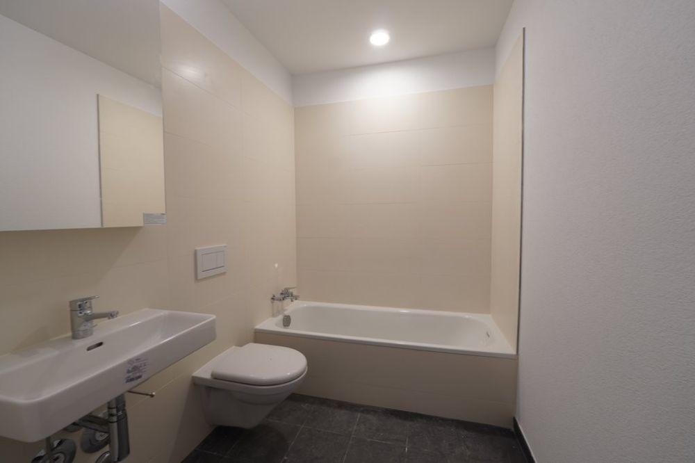 ERSTVERMIETUNG IN LIESTAL - jede Wohnung mit eigenem Waschturm - DSC01603.JPG