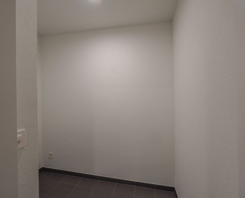 ERSTVERMIETUNG IN LIESTAL - jede Wohnung mit eigenem Waschturm - Reduit.jpg