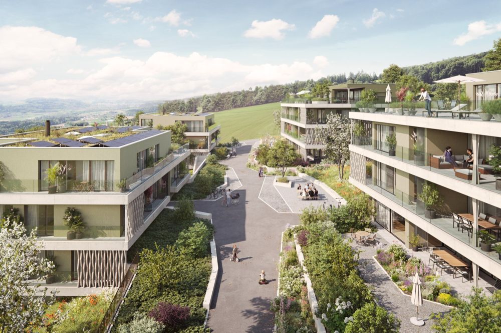 Schlossberg Bellikon - Attraktives Wohnen am Hang - Walde Immobilien AG