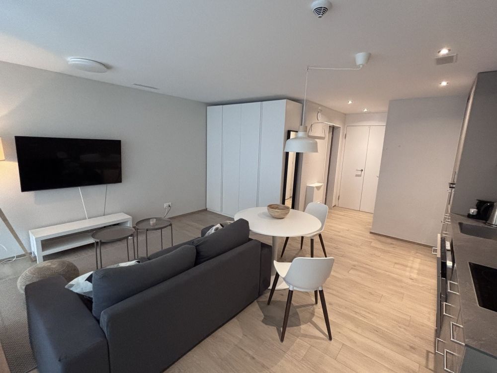 1½ ZI-WOHNUNG IN NEUHAUSEN AM RHEINFALL (SH), MÖBLIERT, TEMPORÄR - Bild 1