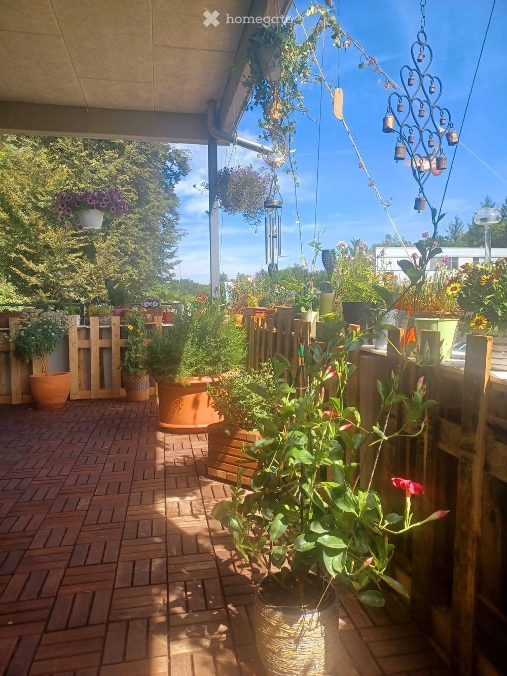 Wohnung in Aarau Rohr - Bild 4