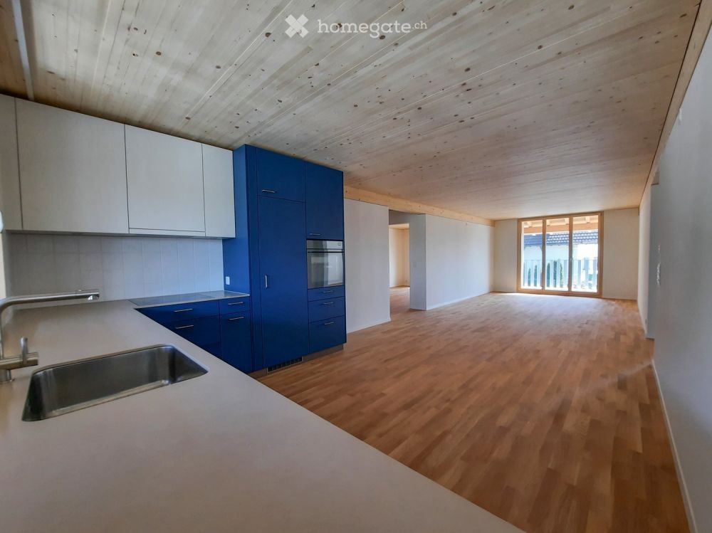 Individuelle und grosszügige Wohnung mit sonnigem und ruhigem Balkon / Zugang über Laubengang 1. OG - Bild 1