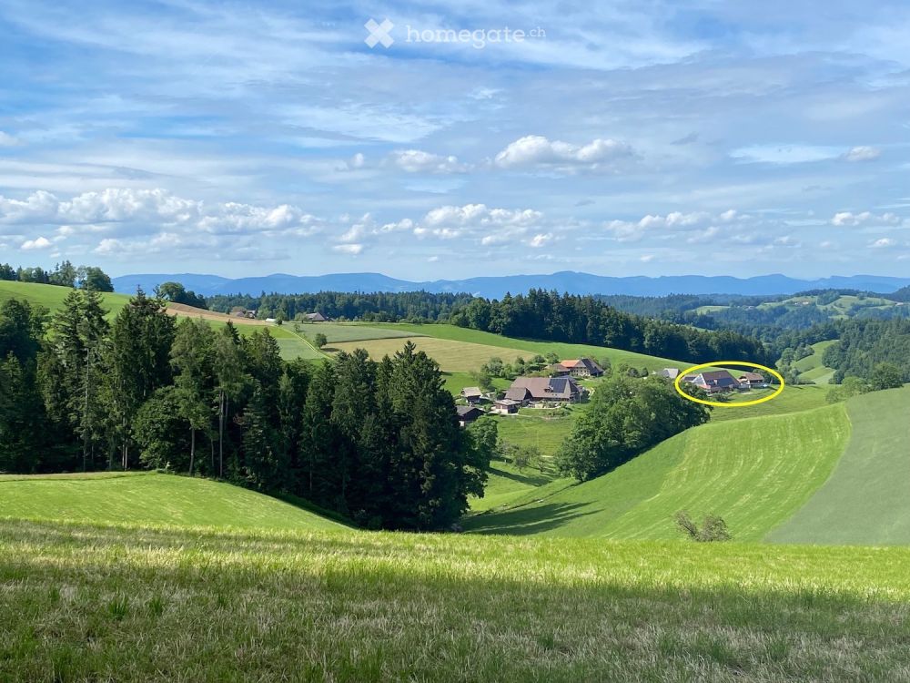 Moderne Neubau-Wohnungen mit Terrassen in umgebauten Bauernhaus - Bild 8