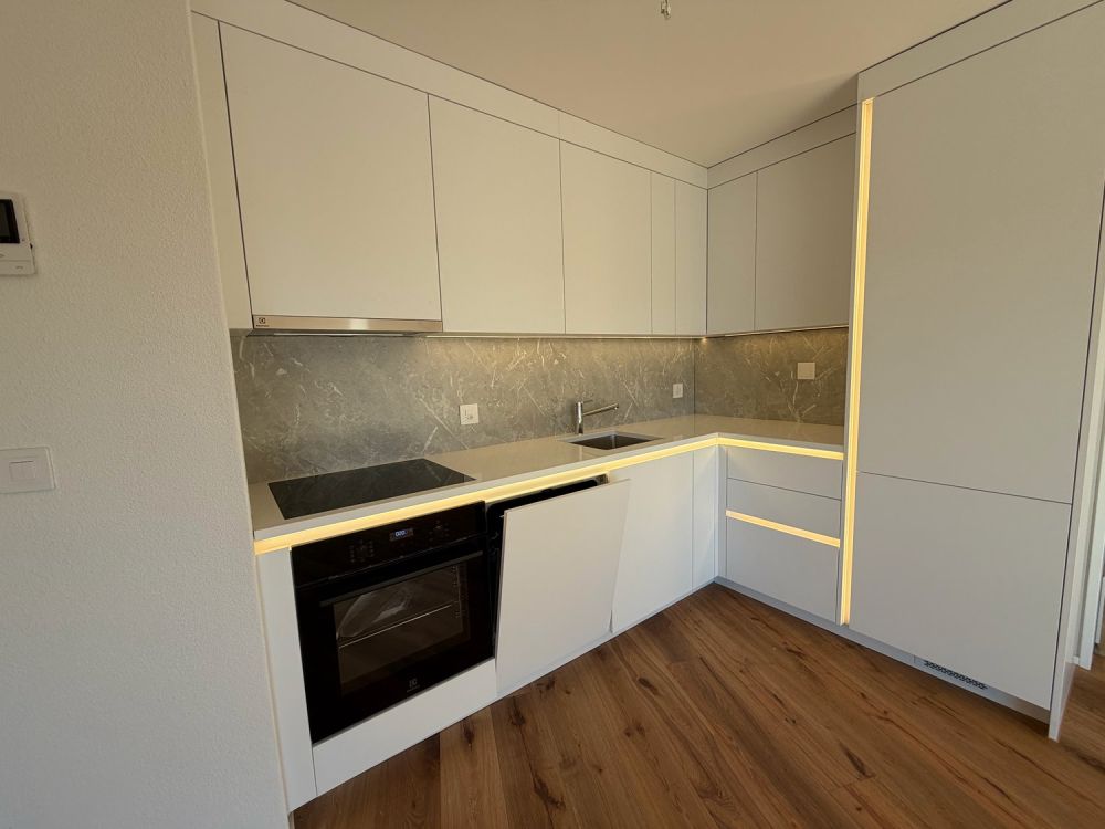 ERSTVERMIETUNG: Wunderschöne 4.5-Zimmer-Neubauwohnungen in Emmenbrücke - Bild 4