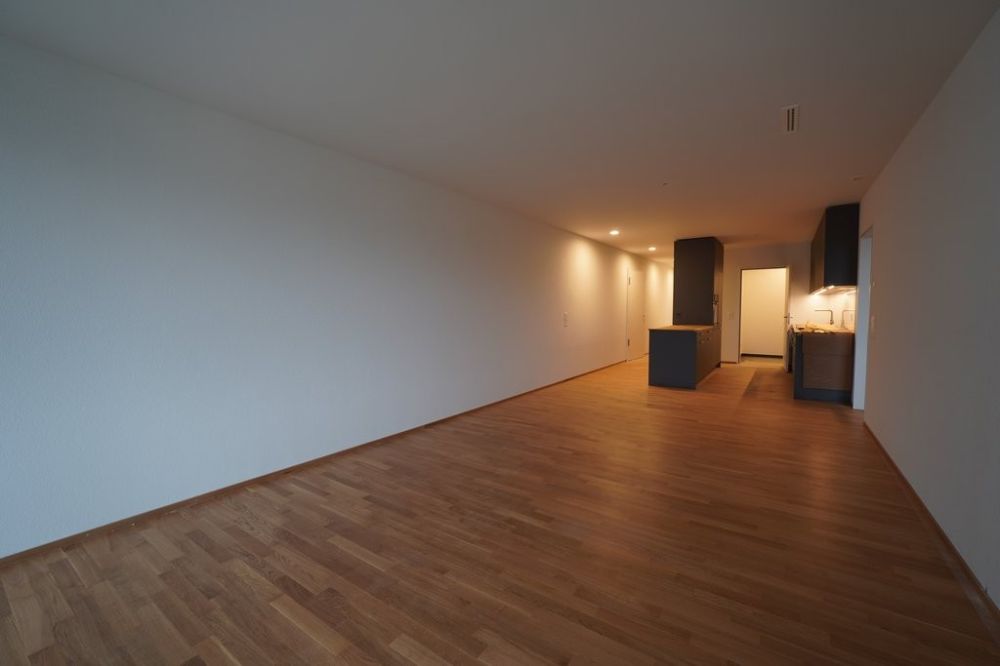 ERSTVERMIETUNG IN LIESTAL - jede Wohnung mit eigenem Waschturm - DSC01587.JPG