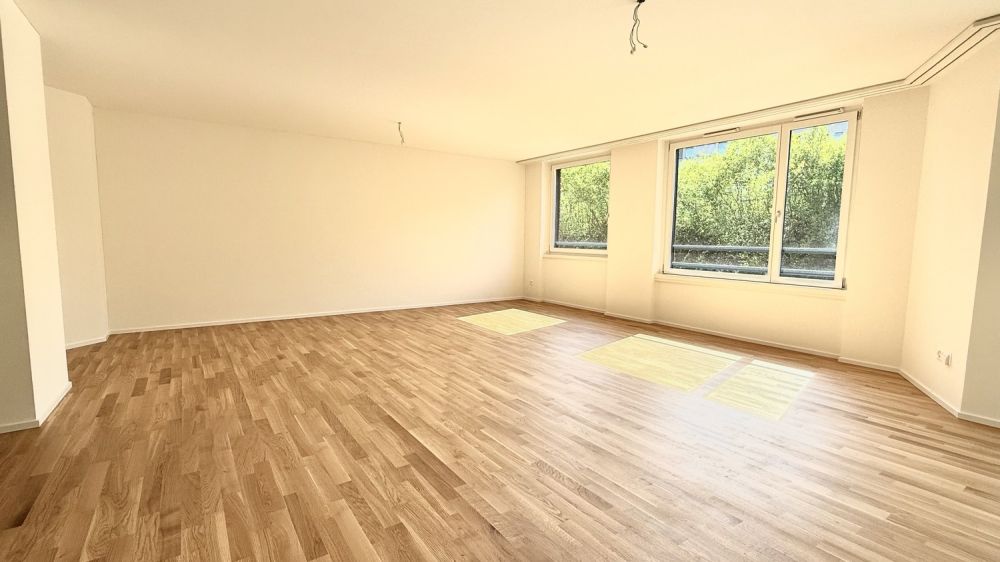 Platz für die ganze Familie 4.5 Zimmer mit zwei Balkonen im Brünnlipark - Bild 3