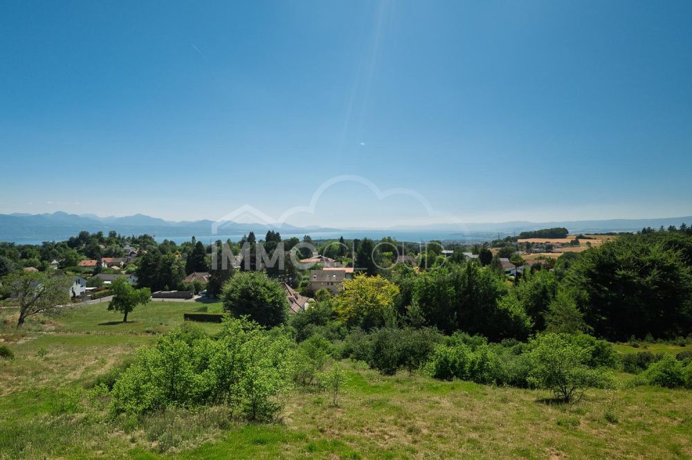 Ufer von Lac Léman als Blickfang - Bild 11