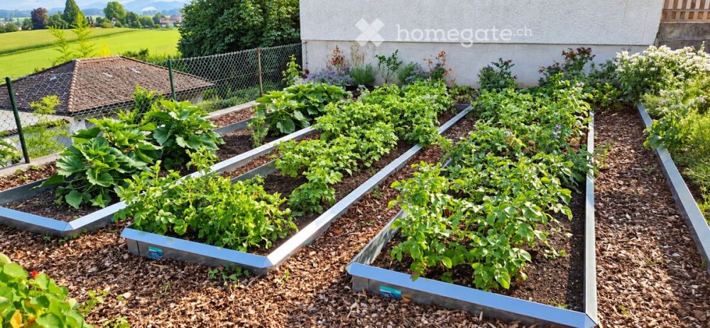 Moderne 3.5-Zimmerwohnung - Gartenbeet