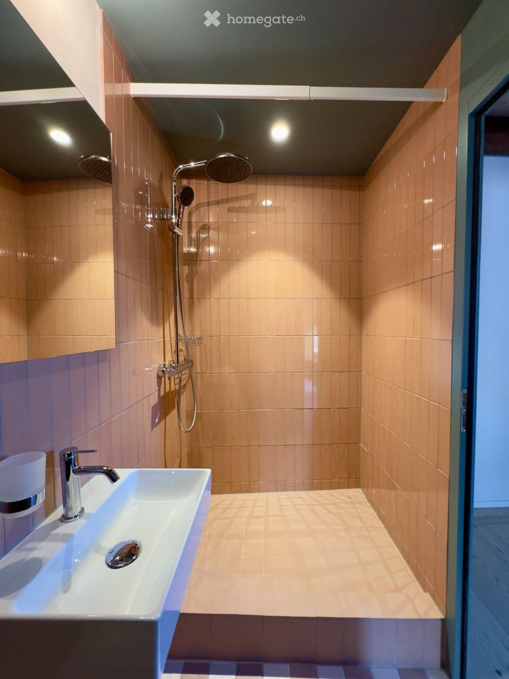Erstbezug Dachwohnung Loft mit Galerie - Bild 4