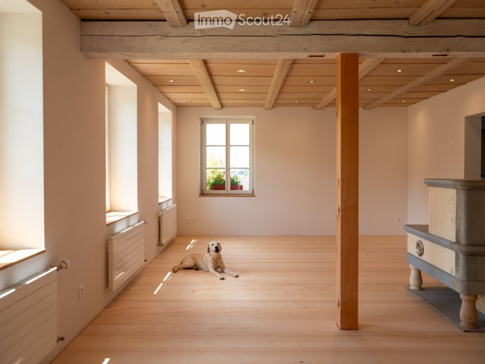 Neue moderne 2.5 Zi. Wohnung mit Charme in Bauernhaus im EG - Bild 9