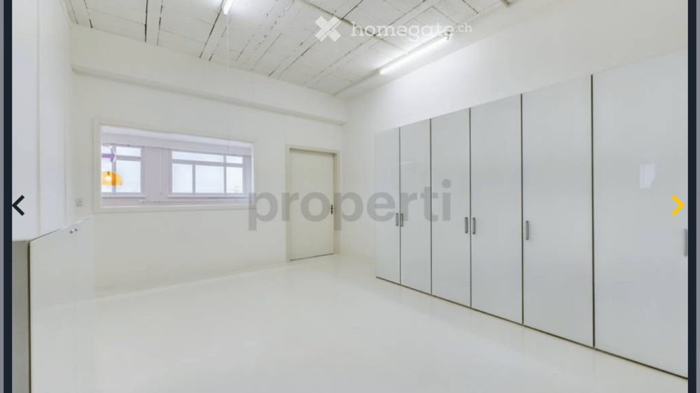 Moderne 2.5-Zimmer-Loft-Wohnung in Luzern Littau - Bild 2