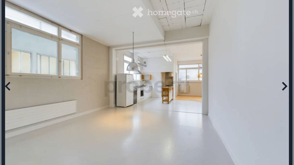 Moderne 2.5-Zimmer-Loft-Wohnung in Luzern Littau - Bild 5