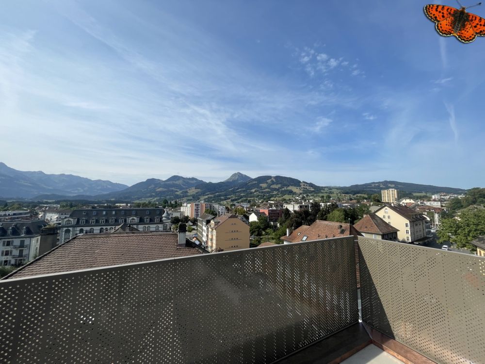 Magnifique loft au coeur de Bulle - Vue