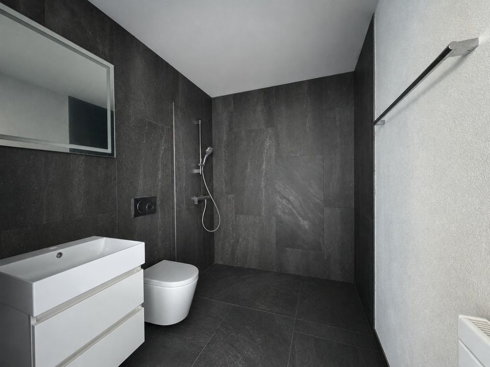Modern. Neu. Zuhause - Erstbezug im Villigen - Visualisierung Badezimmer/Dusche