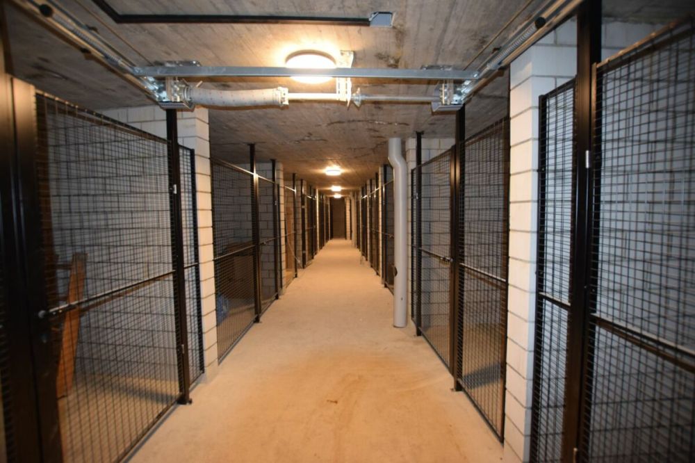Tolle, grosszügige 3.5-Zimmerwohnung für Einheimische - Bild 7