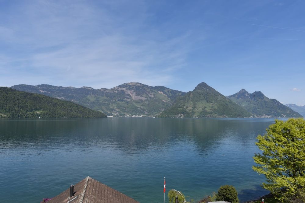 Erstvermietung - Exklusive 4.5-Zimmerwohnung am See in Buochs - Aussicht